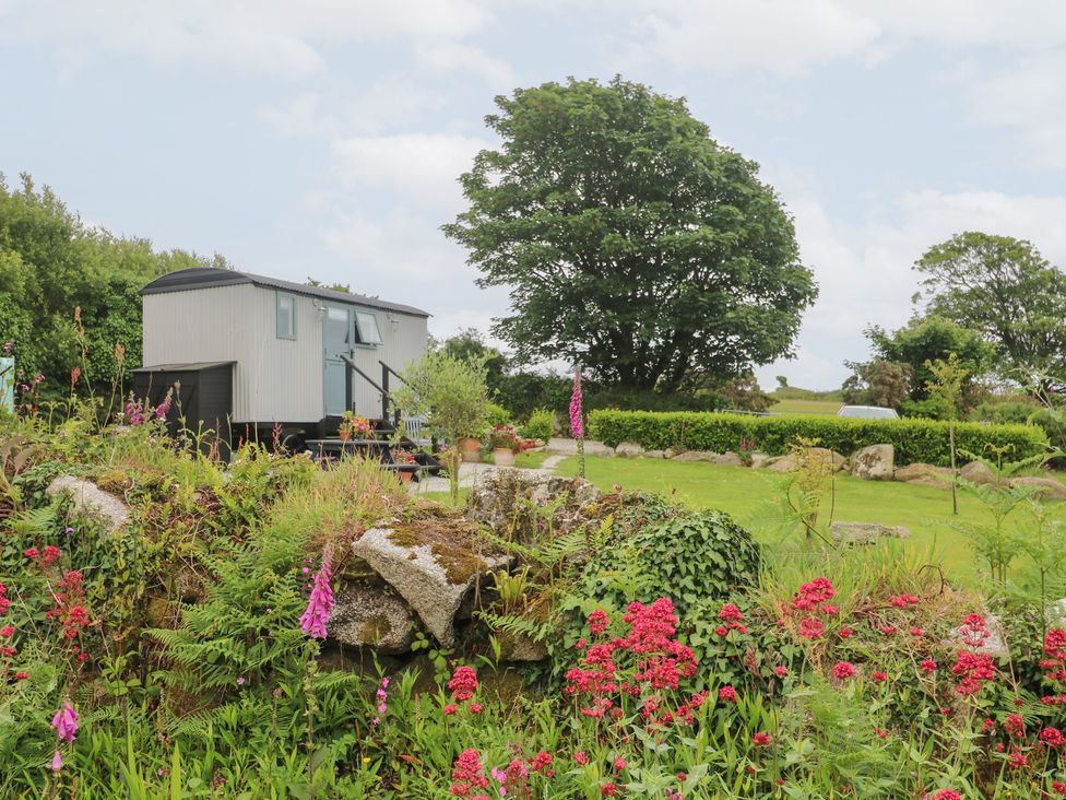 Teg - Cornwall - 1167741 - thumbnail photo 3