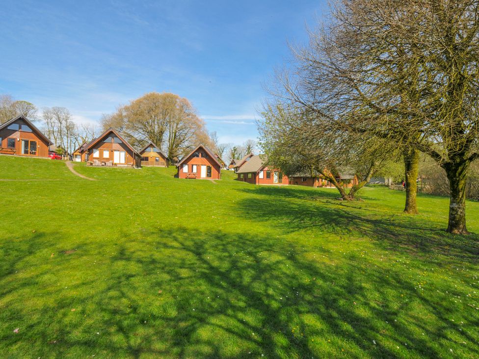 A group of wooden cabins on grass at Cornish Woodland Retreat near St Tudy