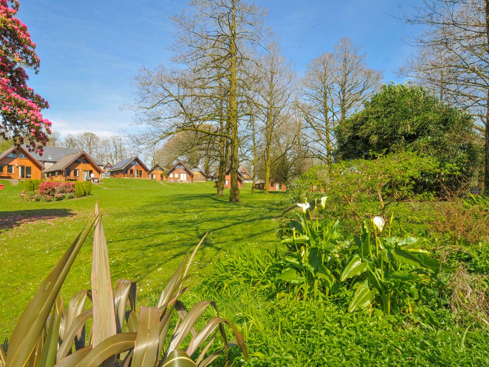 An outdoor area with cabins and greenery at Cornish Woodland Retreat near St Tudy