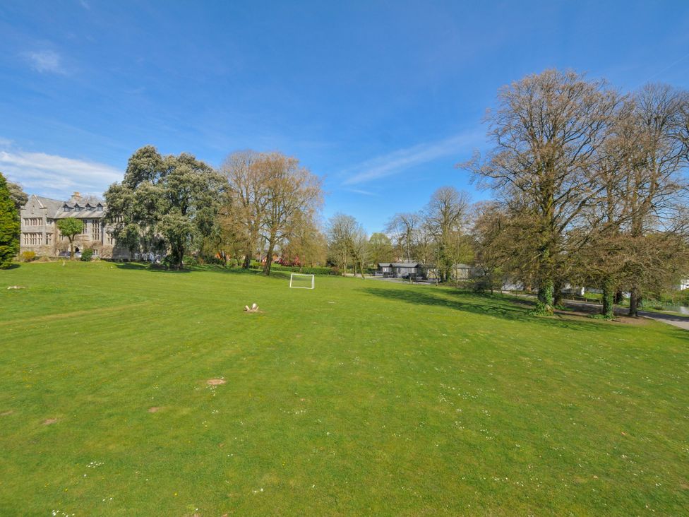 An outdoor area with a grass field and trees at Cornish Woodland Retreat near St Tudy