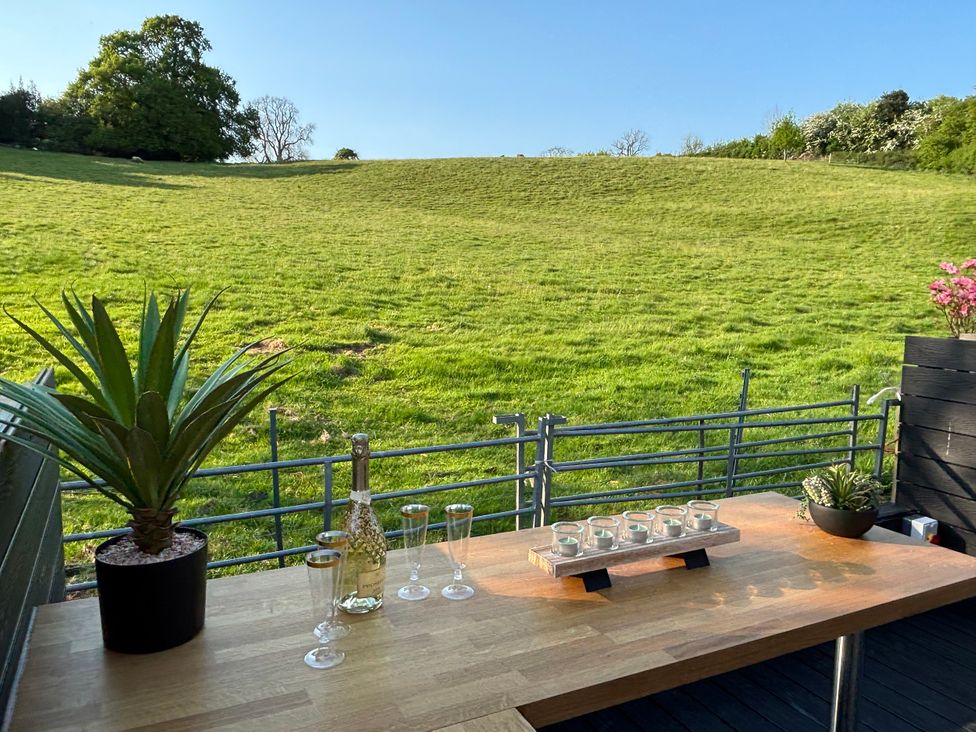 A table with drinks and plants overlooking a green field at 97 Mayfield Road Ashbourne