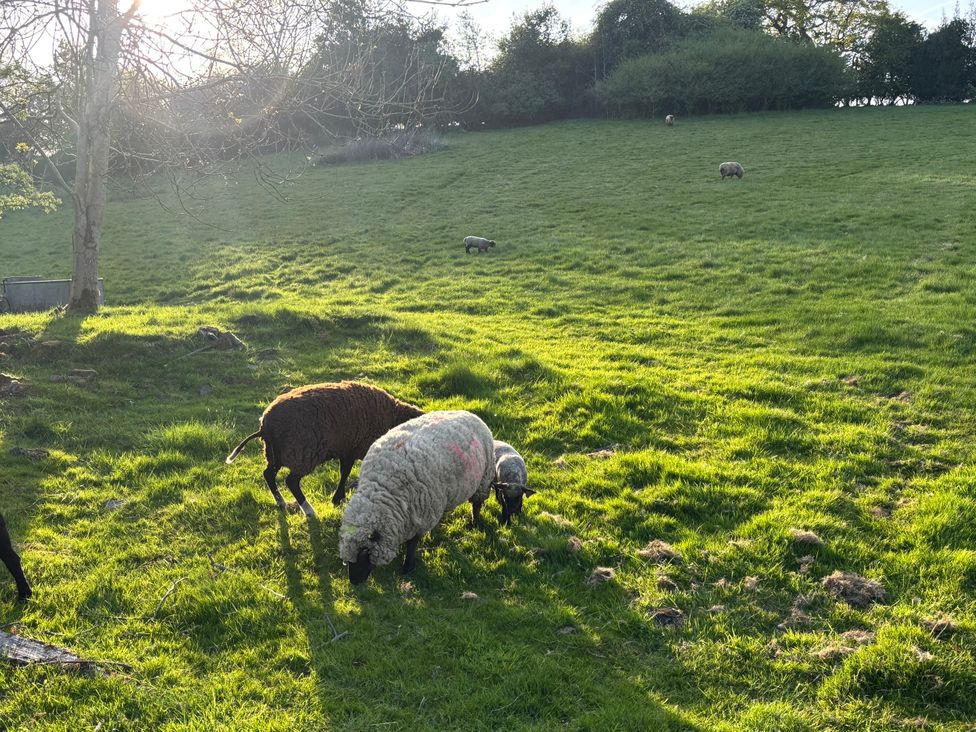 Hill View Cottage - Peak District & Derbyshire - 1167855 - thumbnail photo 20