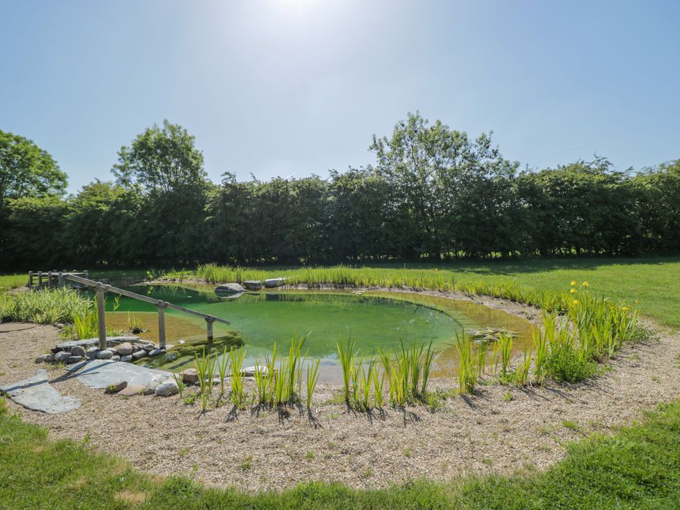 A natural swimming pond with wooden handrails and surrounding plants in a garden