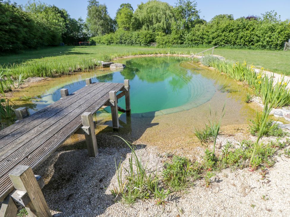 A natural swimming pond with a wooden dock surrounded by grass and plants at Hazel South Leigh near Witney