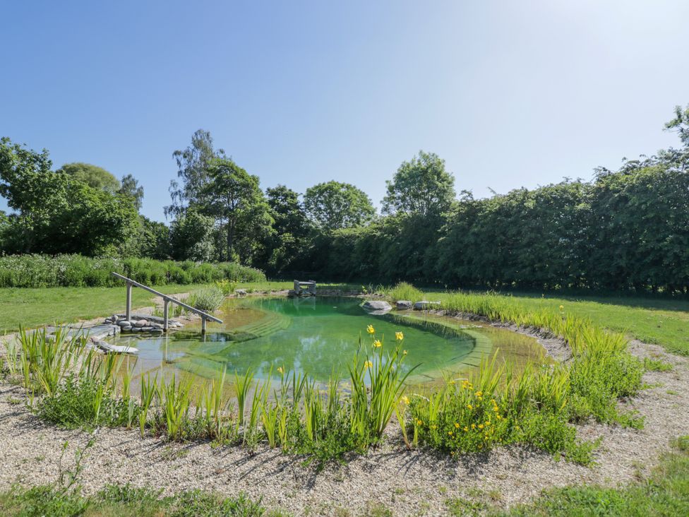 An outdoor natural swimming pond surrounded by plants and gravel with trees in the background at Spindle South Leigh near Witney