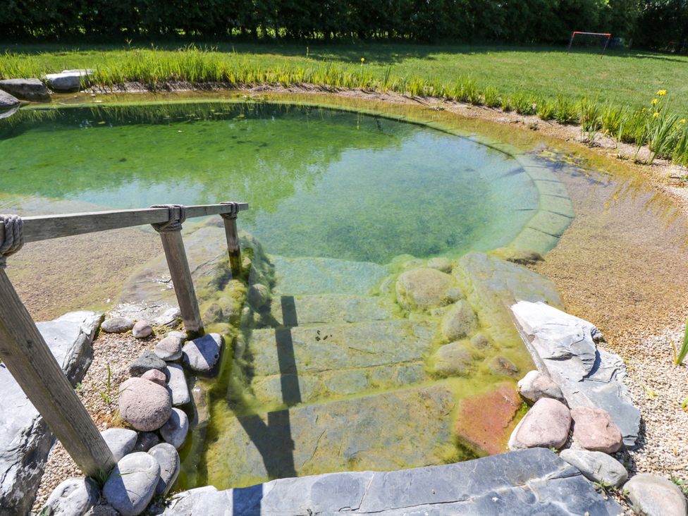An outdoor pond with stone steps and a wooden handrail surrounded by grass and plants at Spindle in South Leigh near Witney