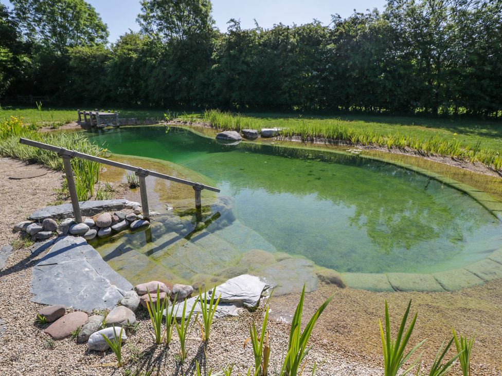 A natural swimming pond with stone steps and plants surrounded by grass and trees at Spindle South Leigh near Witney