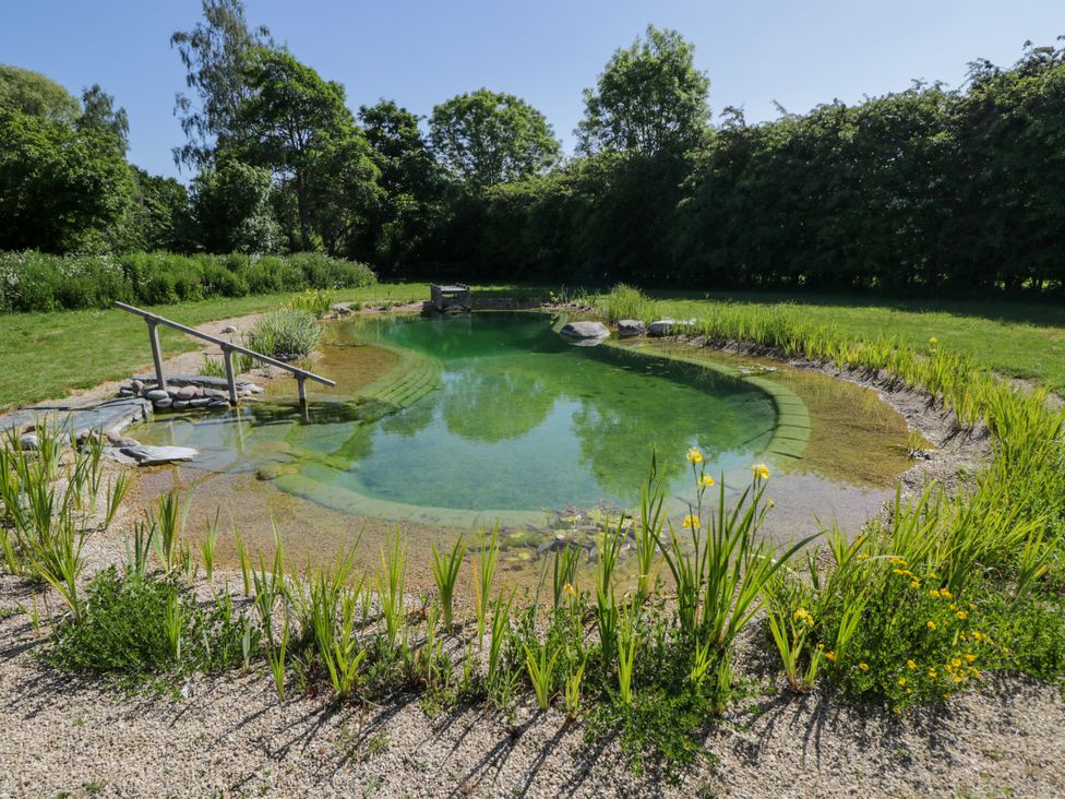 A natural swimming pond surrounded by grass trees and shrubs at Spindle in South Leigh near Witney