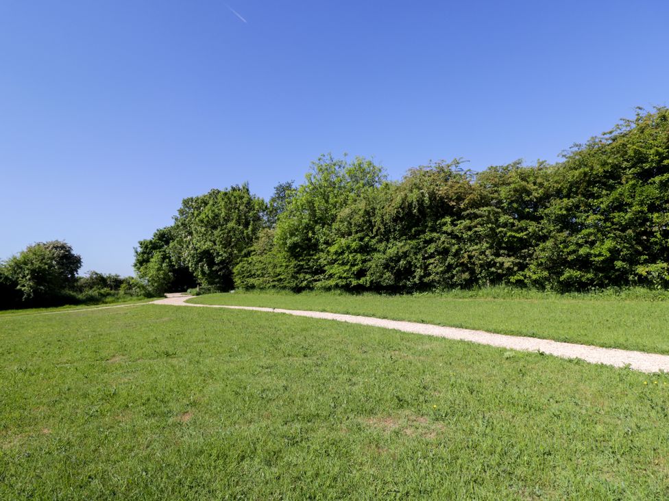 A grassy field with a narrow gravel path leading towards a row of trees and bushes under a clear blue sky at Spindle in South Leigh near Witney