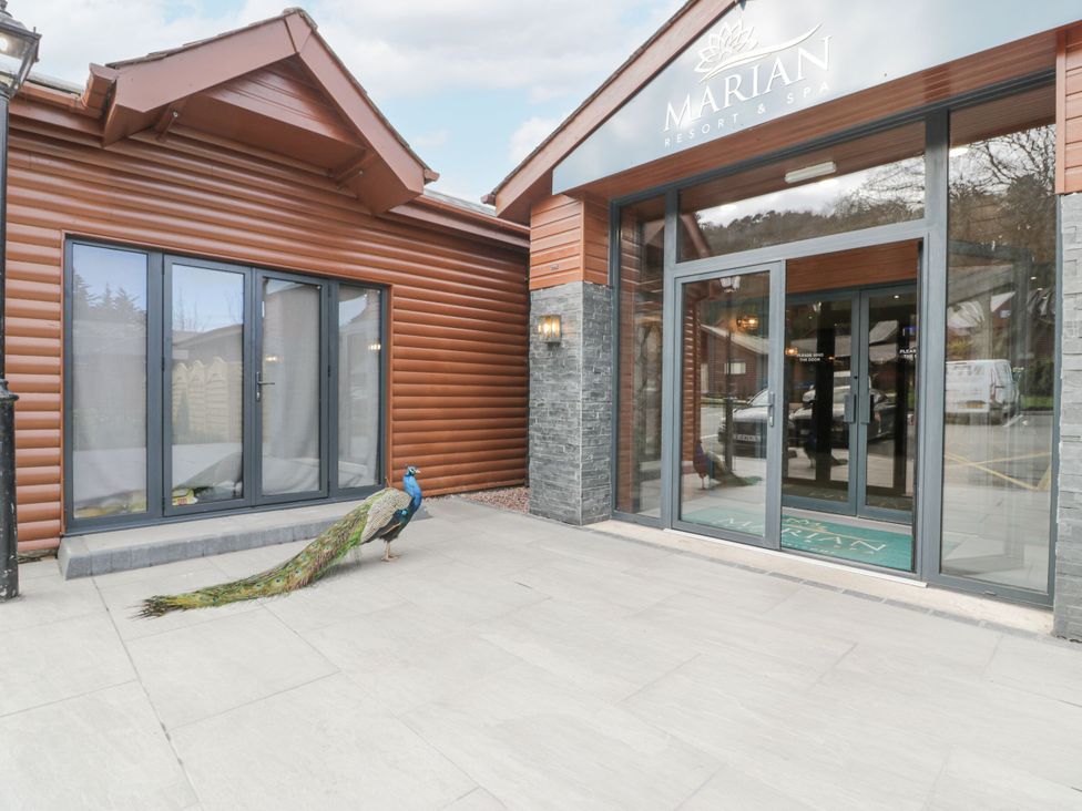 Luxury Lodge 44 - North Wales - 1168203 - thumbnail photo 26