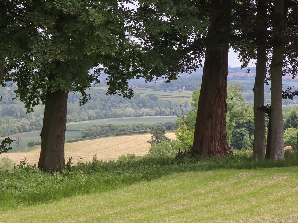 Henhouse Farm - Herefordshire - 1168245 - thumbnail photo 69