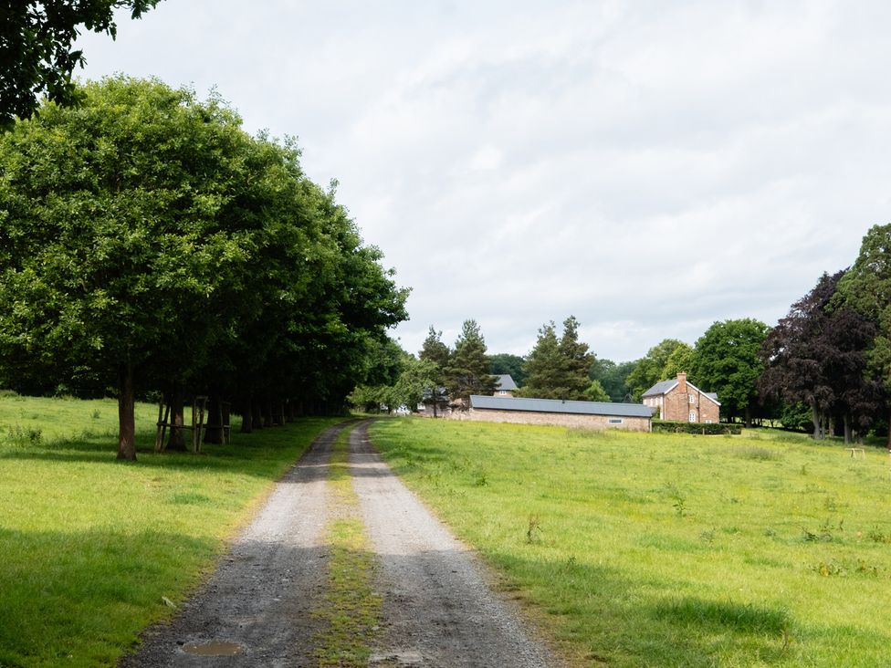 A path leading to a house with trees and grass at Henhouse Farm in Bodenham