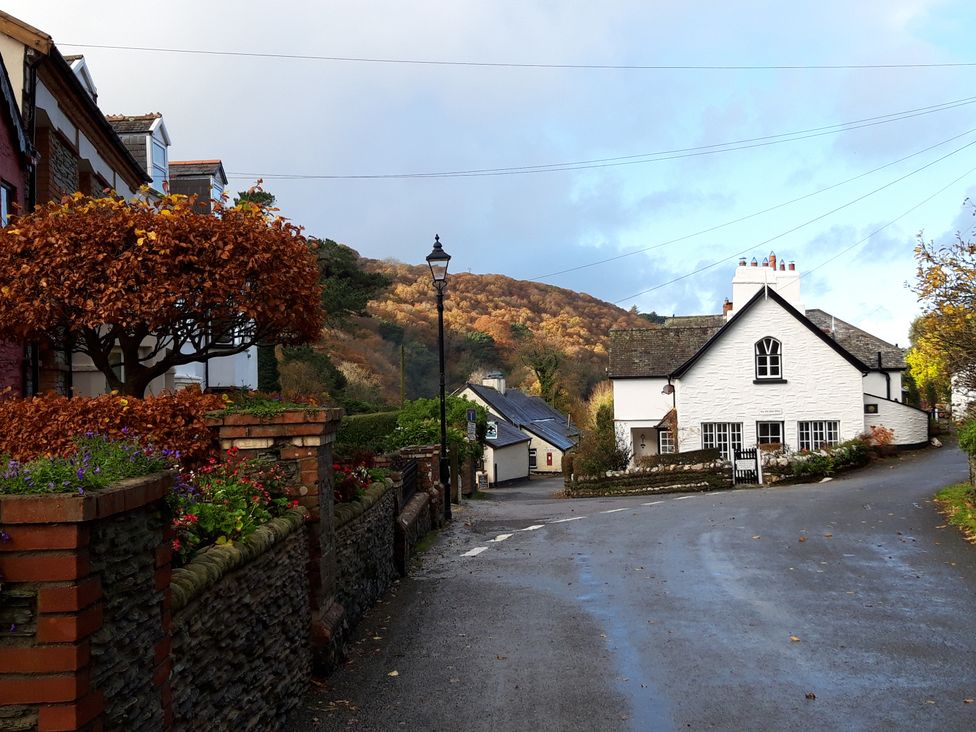 Old Farm Cottage - Devon - 1168265 - thumbnail photo 22