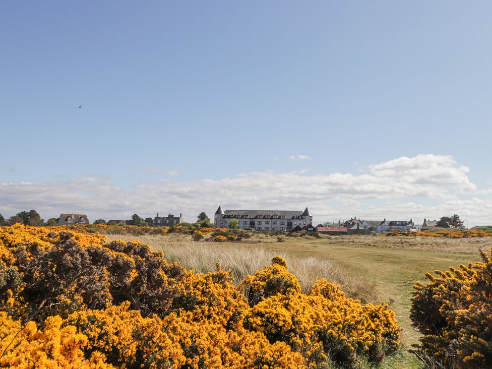 Flat 10 - Scottish Lowlands - 1168379 - thumbnail photo 22