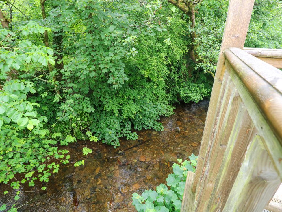 A view of a stream surrounded by trees at The Old Creamery in Ffairfach