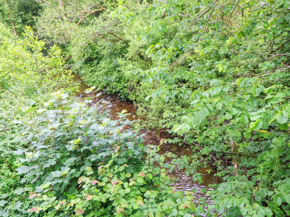 A river surrounded by bushes and trees at The Old Creamery in Ffairfach