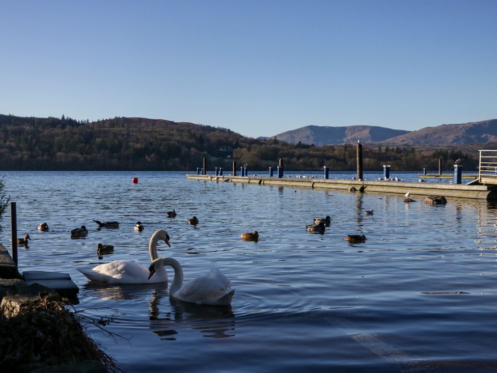 Lily Rose Lodge - Lake District - 1168542 - thumbnail photo 41