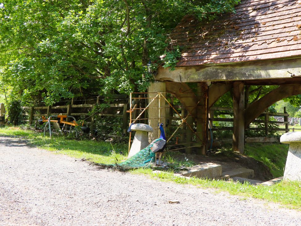 Pucklechurch - Devon - 1168609 - thumbnail photo 42