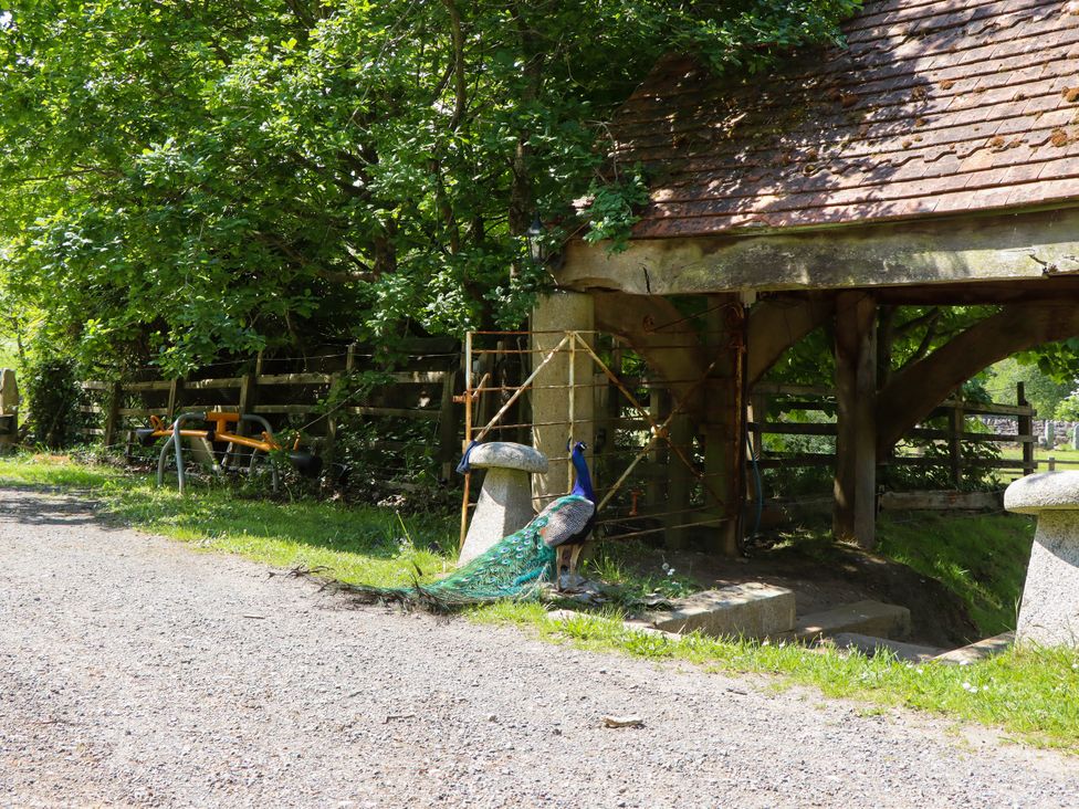 Buckleigh Lodge - Devon - 1168615 - thumbnail photo 40