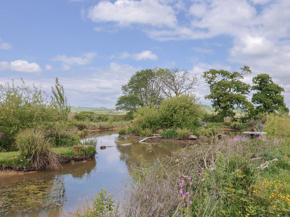 Pond View at Yeabridge Farm - Dorset - 1168660 - thumbnail photo 23