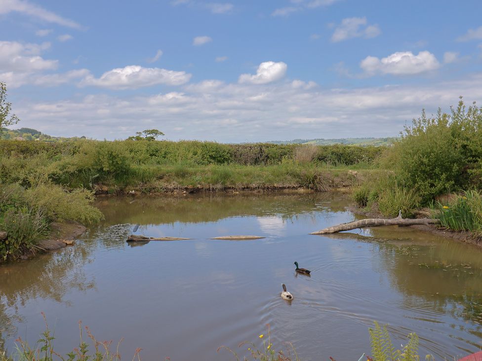 Pond View at Yeabridge Farm - Dorset - 1168660 - thumbnail photo 24