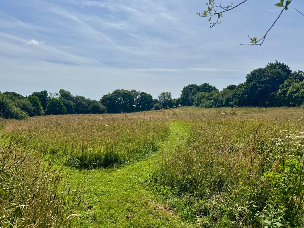 A grassy field with a path leading through at The Hayloft in Lostwithiel