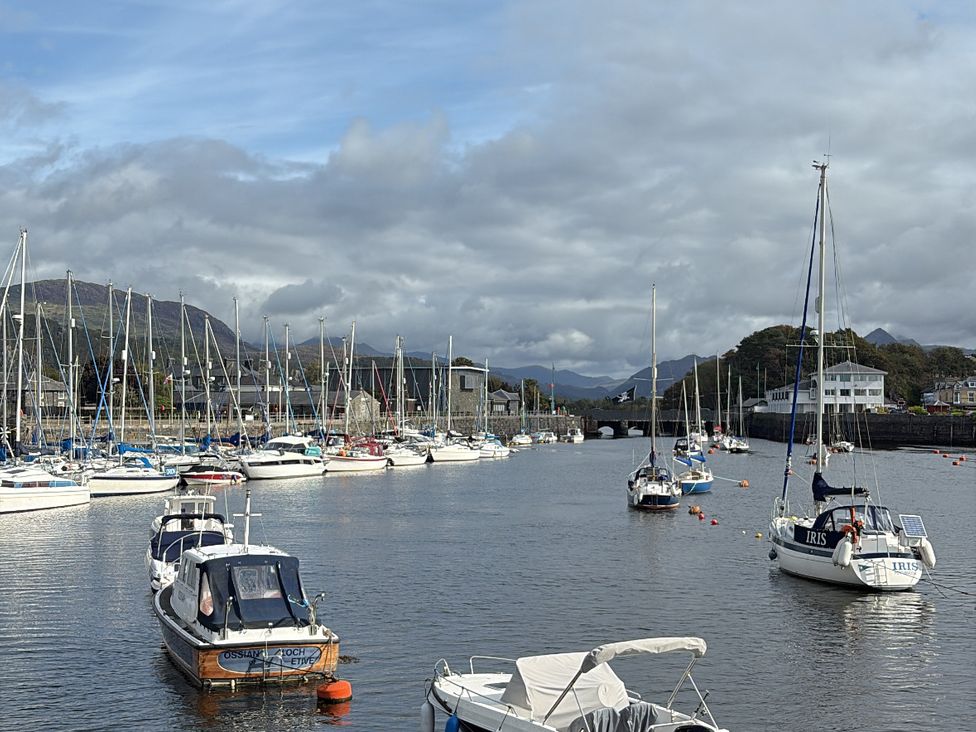 A marina with boats at Harbour Escape in Porthmadog