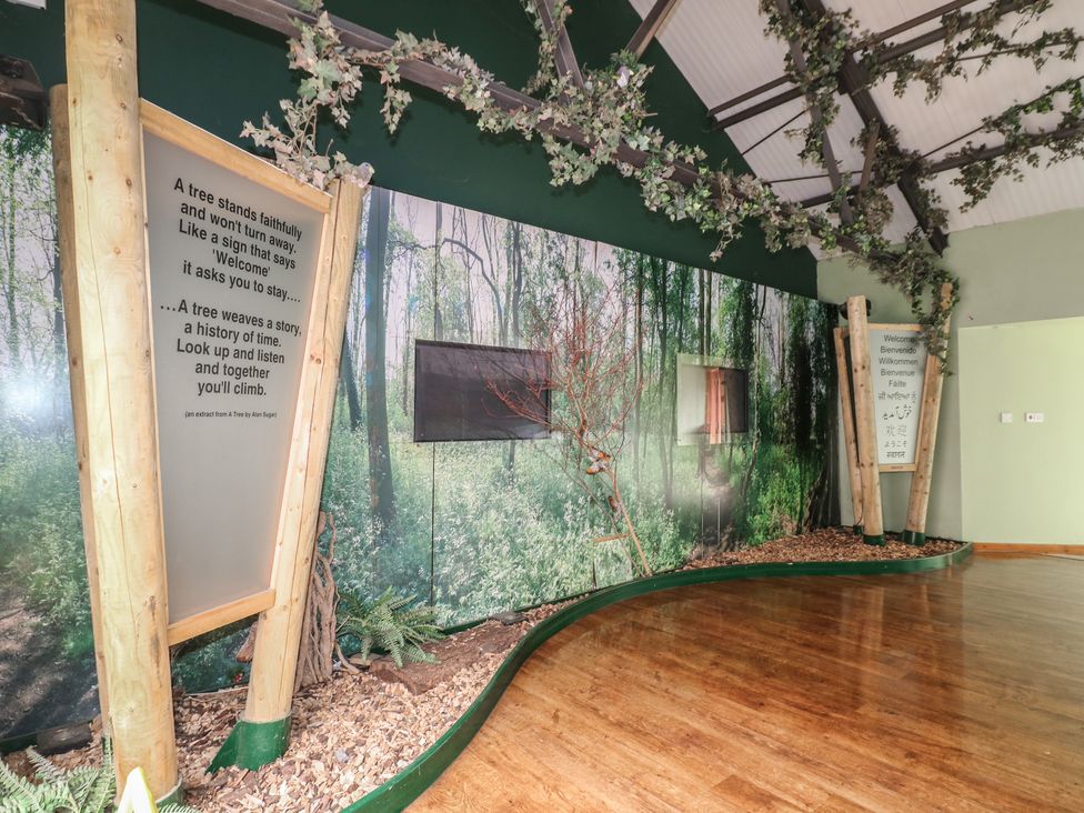 An indoor nature-themed space with forest wall mural wooden posts signage and a hardwood floor at Rowan Lodge in Rosliston