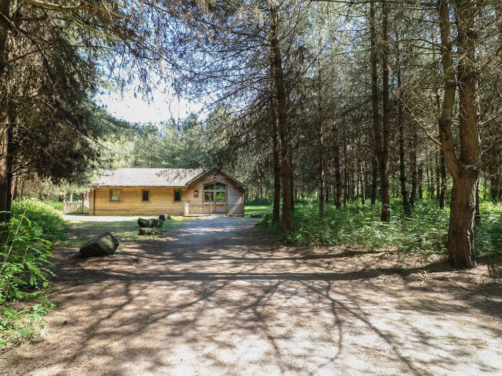 A dirt path leading to a wooden cabin surrounded by trees at Rowan Lodge in Rosliston