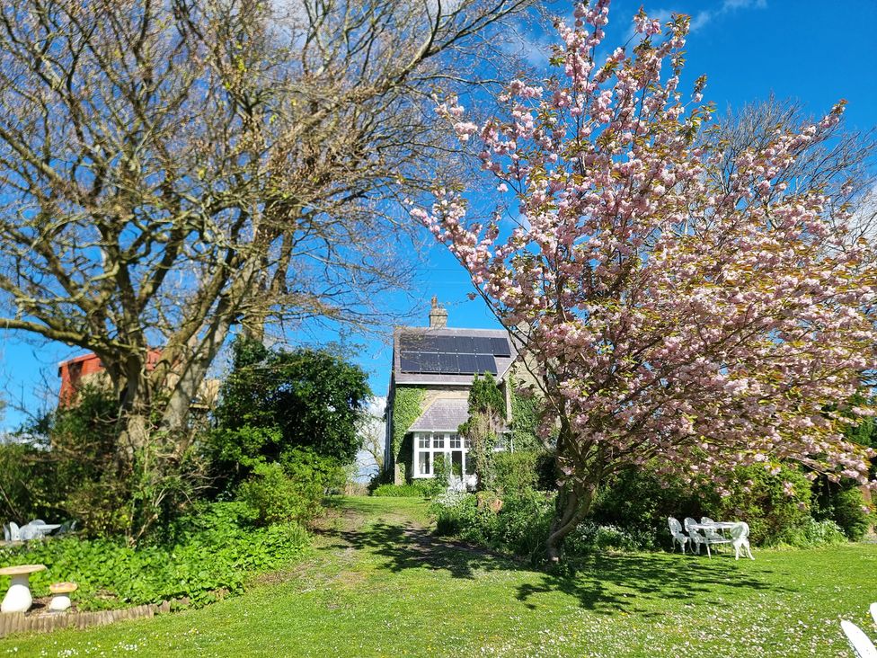 A garden with a house and flowering tree at Ashleigh House