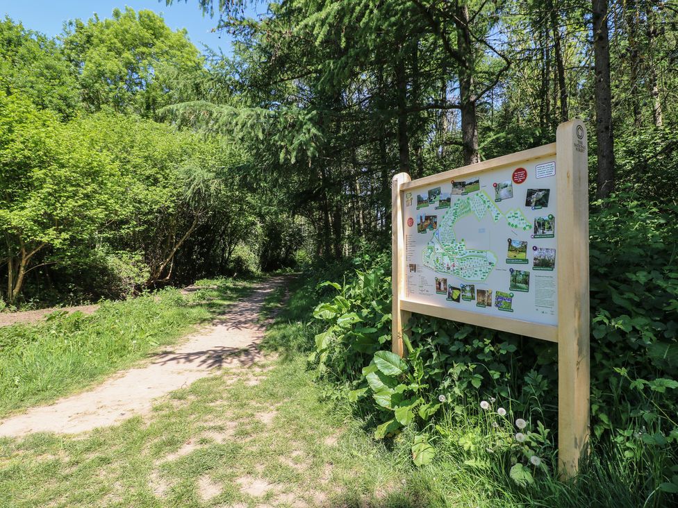 A dirt path next to a large map sign surrounded by green trees and vegetation in a forest