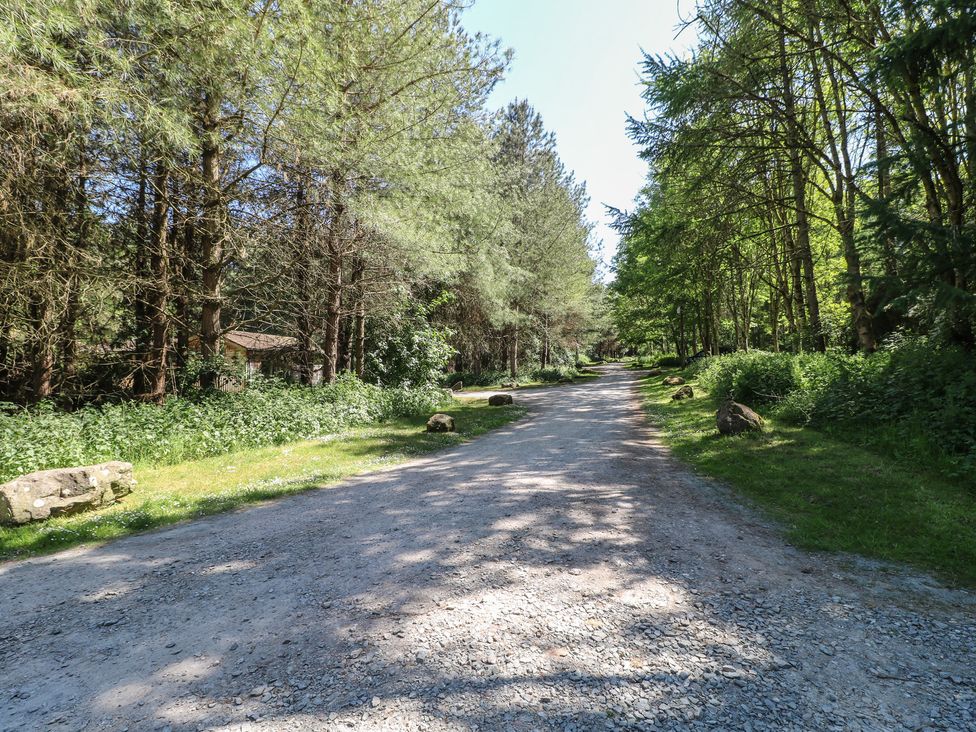 A gravel road flanked by trees and rocks in a wooded area at Chestnut Lodge in Rosliston