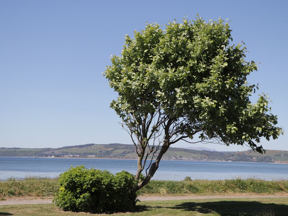Fishers Cottage -  - 1168776 - thumbnail photo 33