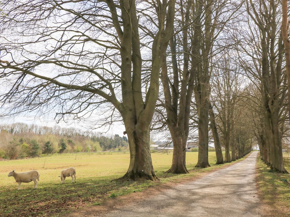 Swallow Studio - Cotswolds - 1168847 - thumbnail photo 17