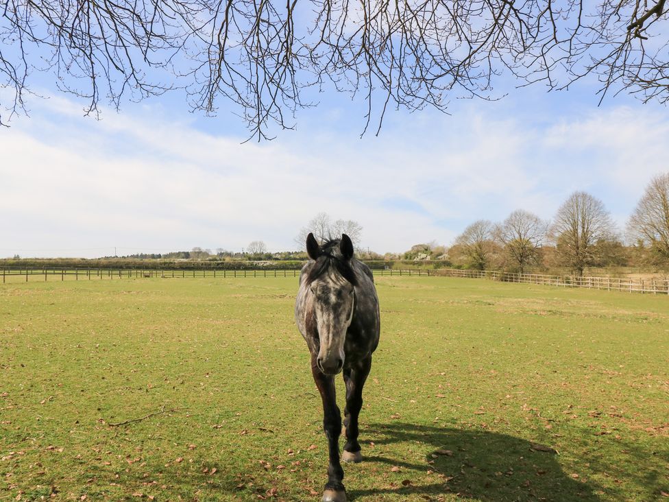 Swallow Studio - Cotswolds - 1168847 - thumbnail photo 18