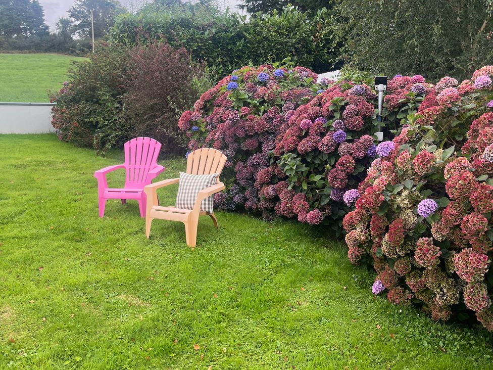 Two chairs beside hydrangea bushes in the garden at Dromclough Farmhouse Dromclough near Listowel, County Kerry
