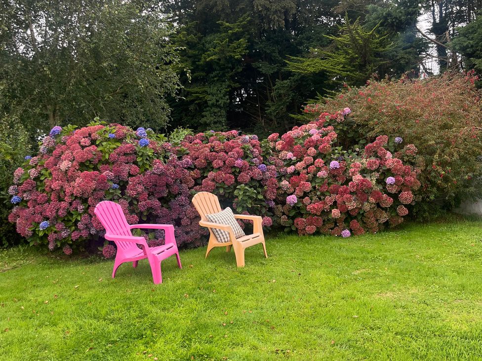 Two chairs in a garden with flowering shrubs at Dromclough Farmhouse in Dromclough near Listowel, County Kerry