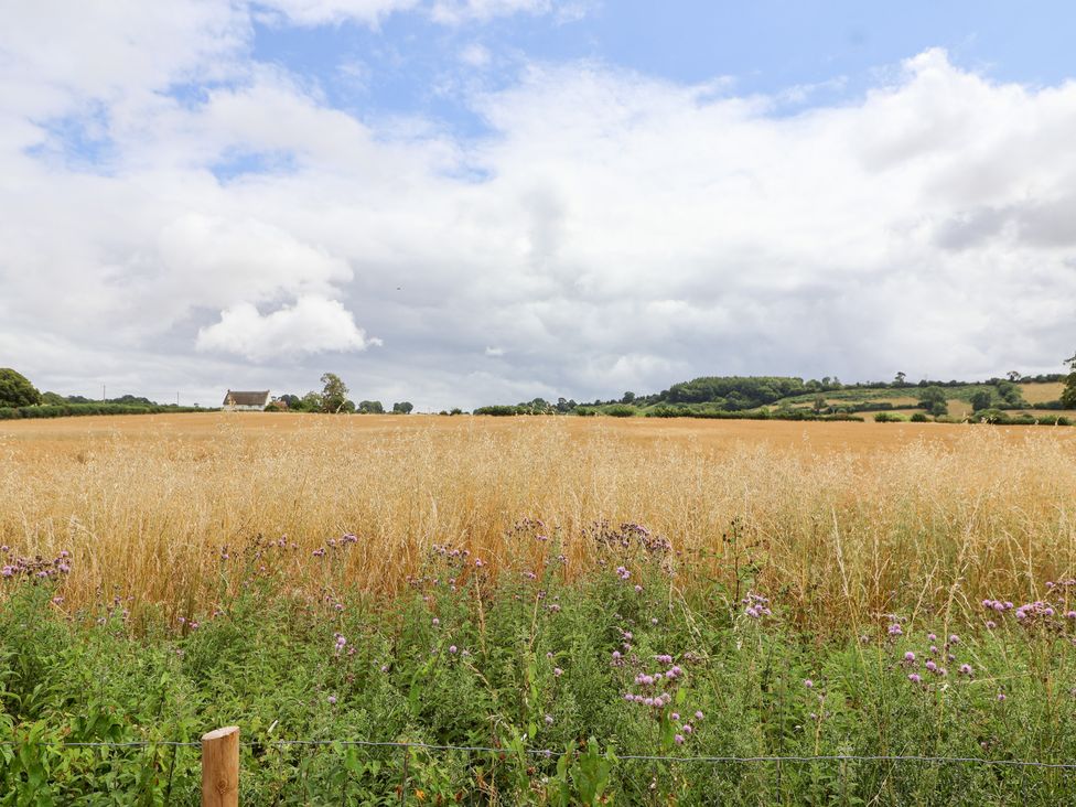 A field with wildflowers and a house in the background at Thatchers End, Sherborne