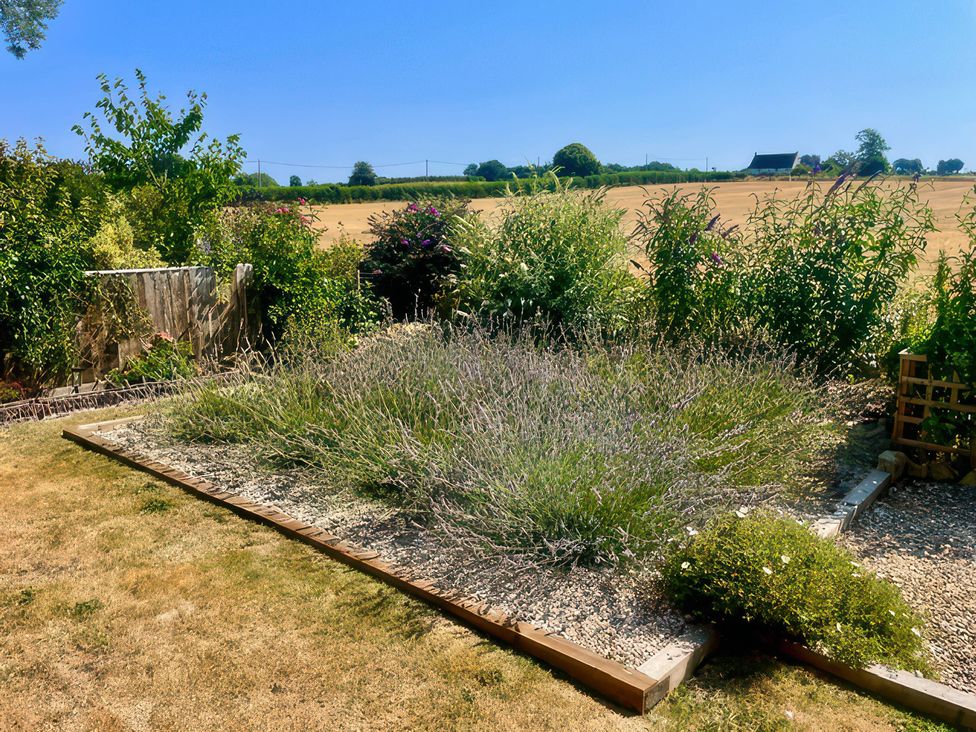 A garden with lavender and gravel at Thatchers End in Sherborne