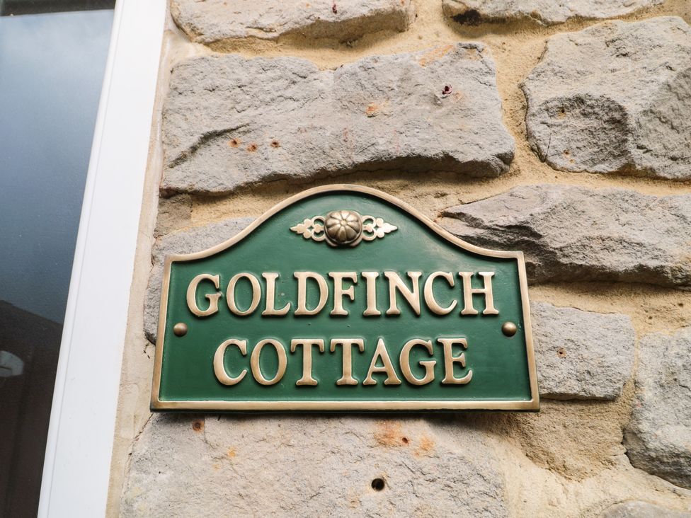 Goldfinch - Northumberland - 11690 - thumbnail photo 3