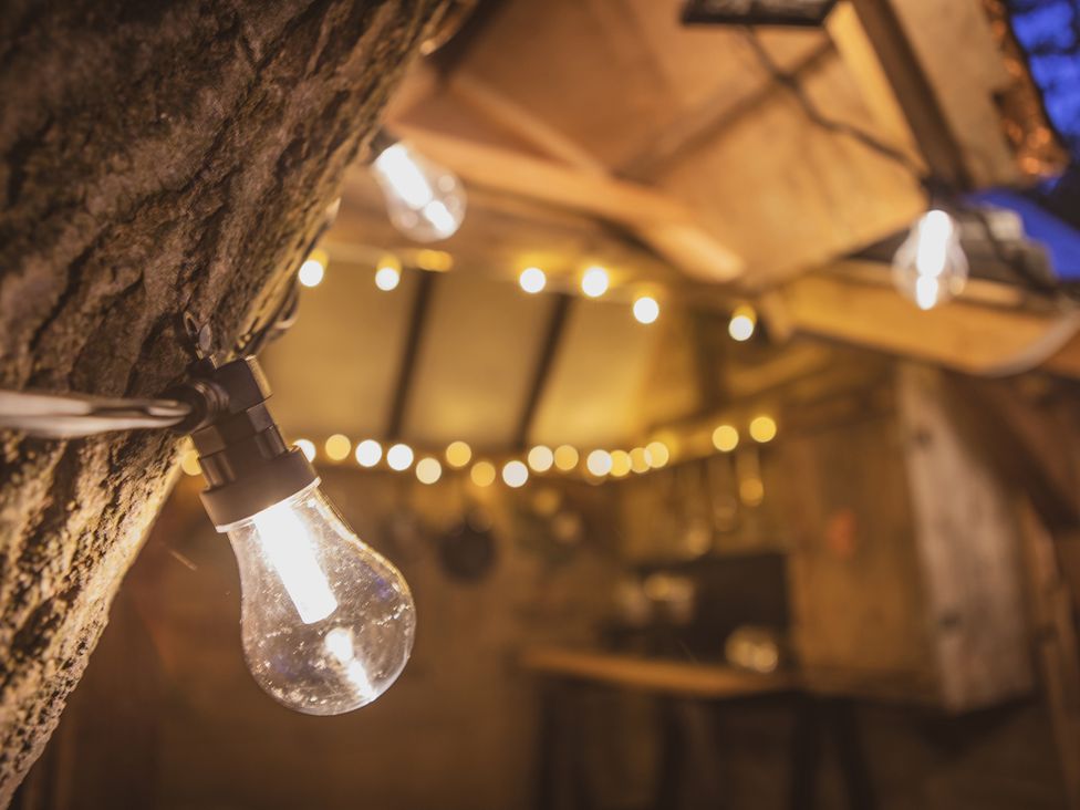 Brandon House Farm Yurt - Norfolk - 1169011 - thumbnail photo 33