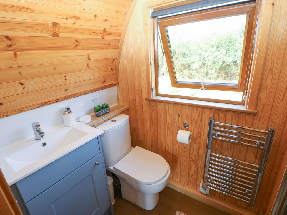 A bathroom with a sink and toilet at Ty Twt Teifi Llanddewi-Brefi