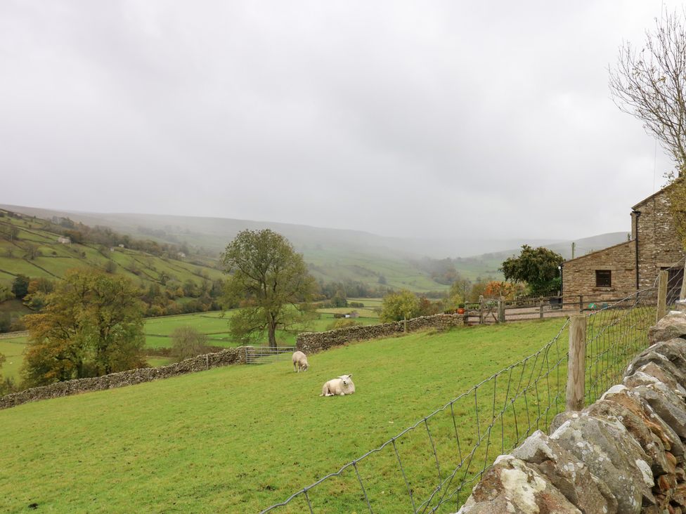 A landscape with sheep grazing in a field at Nick Jone in Richmond