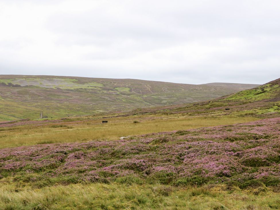A landscape with heather and hills at Nick Jone in Richmond