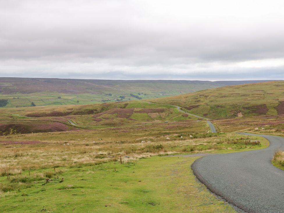 A winding road through hills at Nick Jone in Richmond