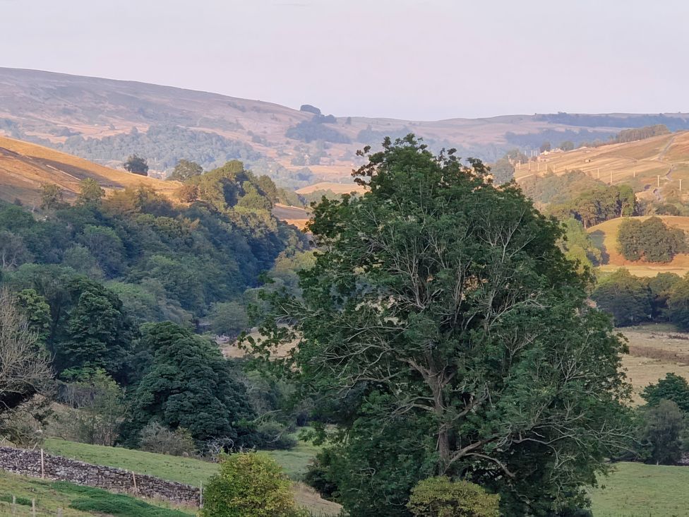 A view of hills and a tree in a valley at Nick Jone in Reeth