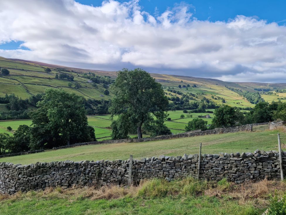 A landscape with trees and stone walls at Nick Jone in Reeth