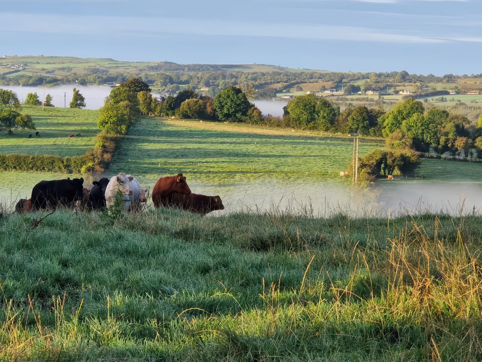 The Farmstead - County Sligo - 1169085 - thumbnail photo 39