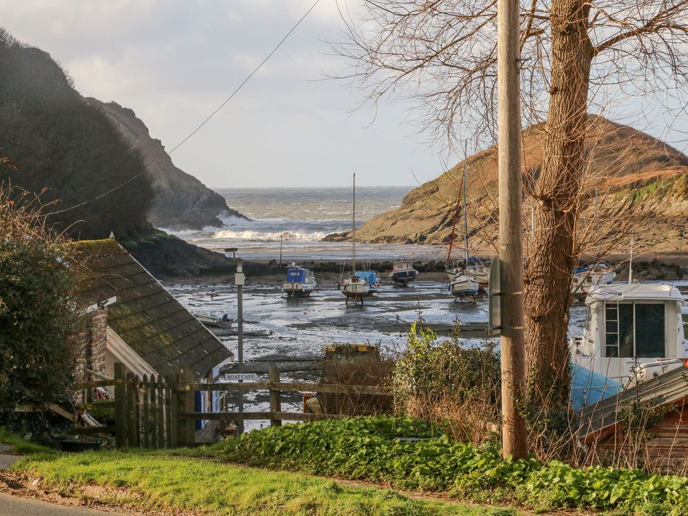 Cove View - Devon - 1169119 - thumbnail photo 15