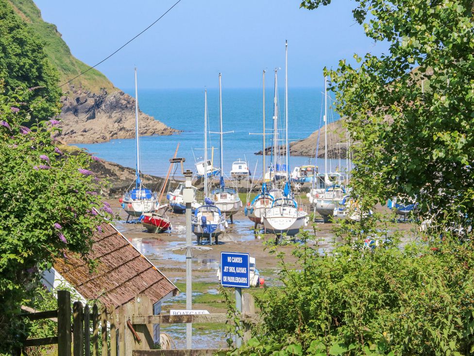 Cove View - Devon - 1169119 - thumbnail photo 16